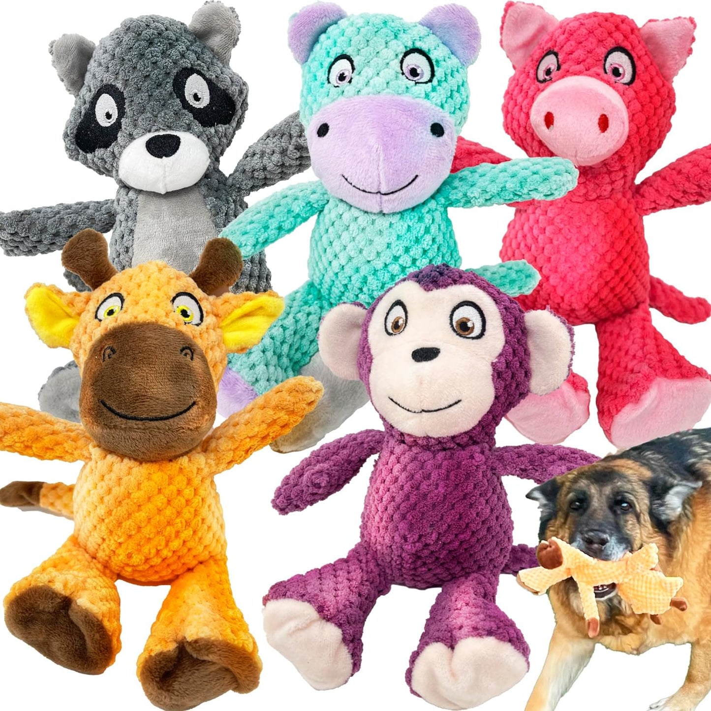 JALOUSIE 5 Pack Squeaky Plush Toys Assortment Value Bundle Puppy Pet Mutt Squeak Toy for Medium Large Dogs Made Tough for Aggressive Chewers